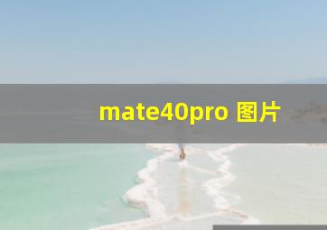 mate40pro 图片